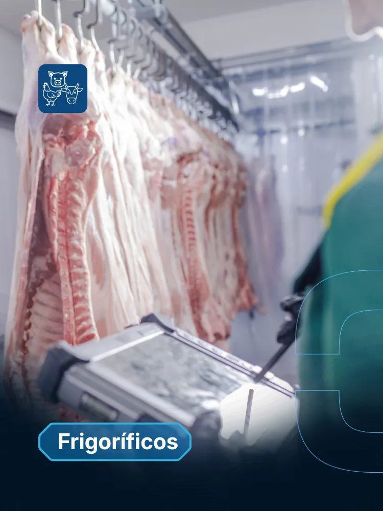 Cases em frigoríficos