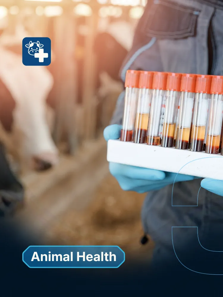 Case studies in animal health
